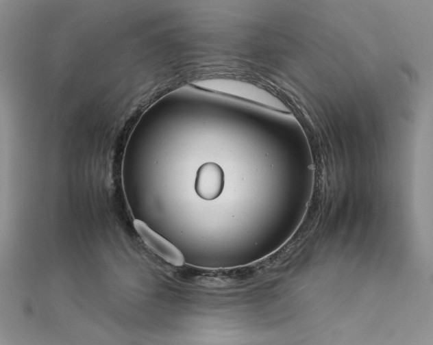 X0000113030512200908271457