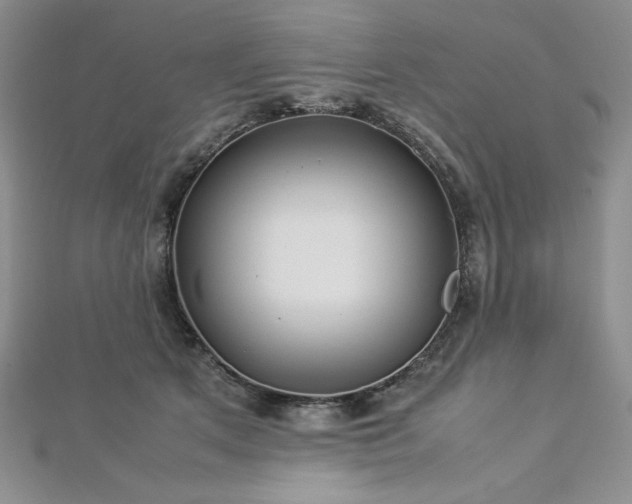 X0000113030513200908271457