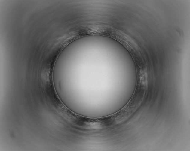 X0000113030514200908271457