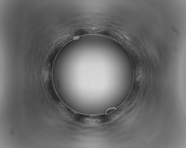 X0000113030515200908271457