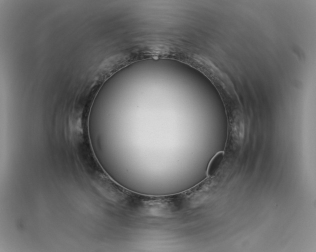 X0000113030516200908271457