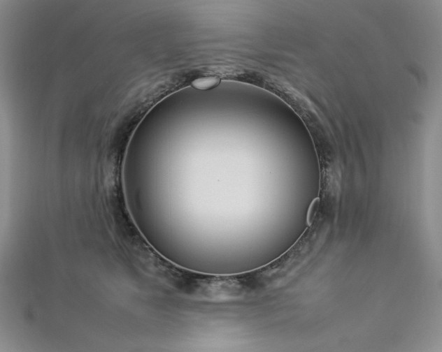 X0000113030517200908271457