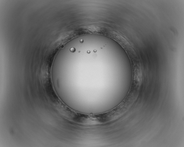 X0000113030518200908271457