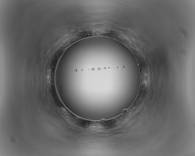 X0000113030519200908271457