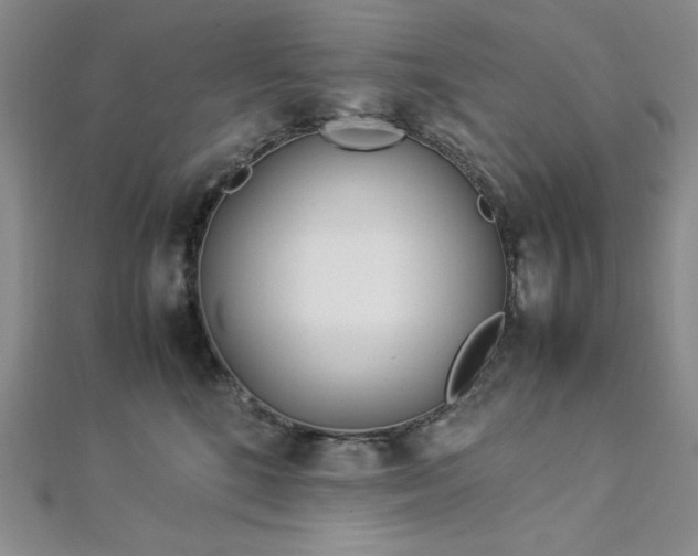 X0000113030520200908271457