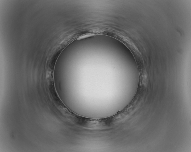 X0000113030521200908271457