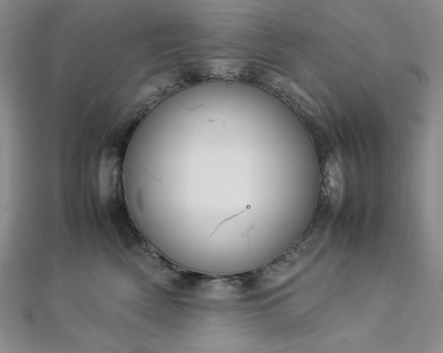 X0000113030522200908271457