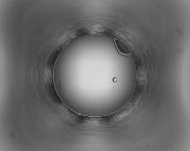 X0000113030523200908271457