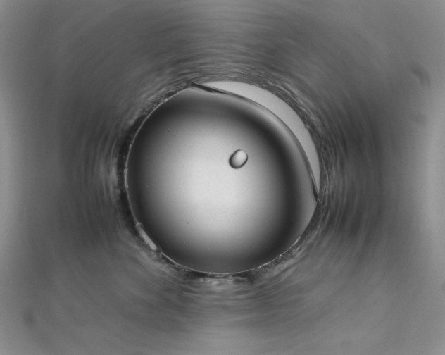 X0000113030524200908271457