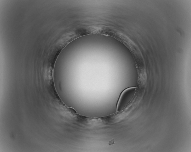 X0000113030525200908271457