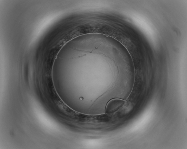 X0000113030526200908271457