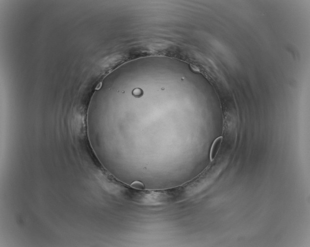 X0000113030527200908271457