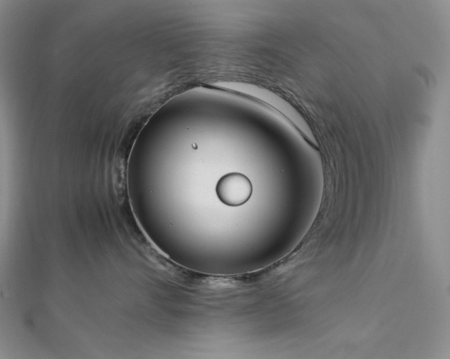 X0000113030528200908271457