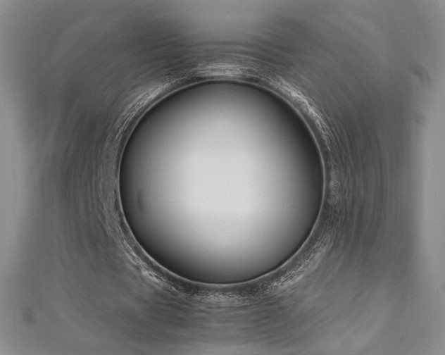 X0000113030529200908271457