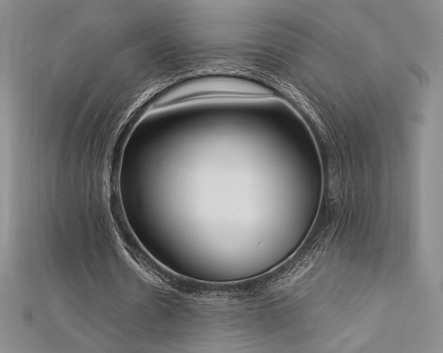 X0000113030530200908271457