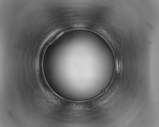 X0000113030531200908271457