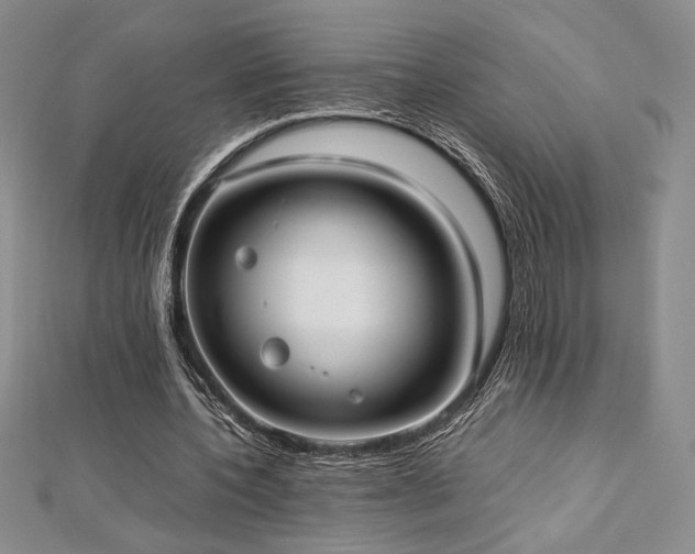 X0000113030532200908271457