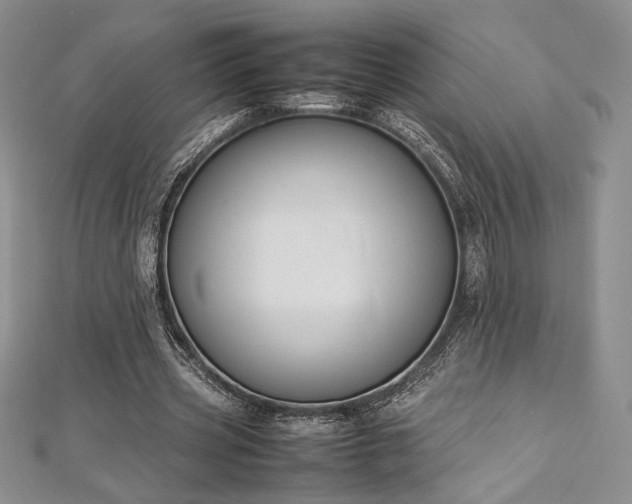 X0000113030533200908271457