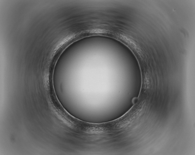 X0000113030535200908271457