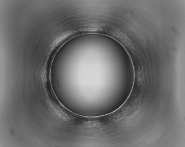 X0000113030536200908271457