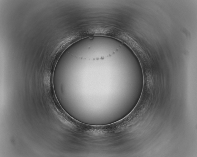 X0000113030537200908271457