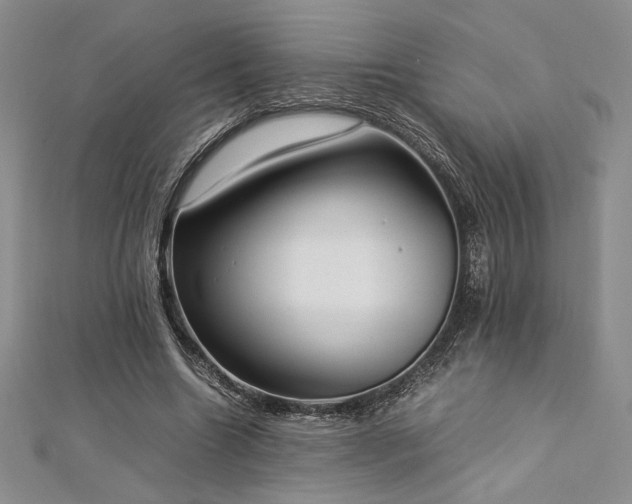 X0000113030538200908271457