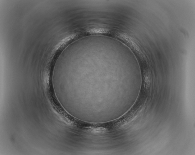 X0000113030539200908271457