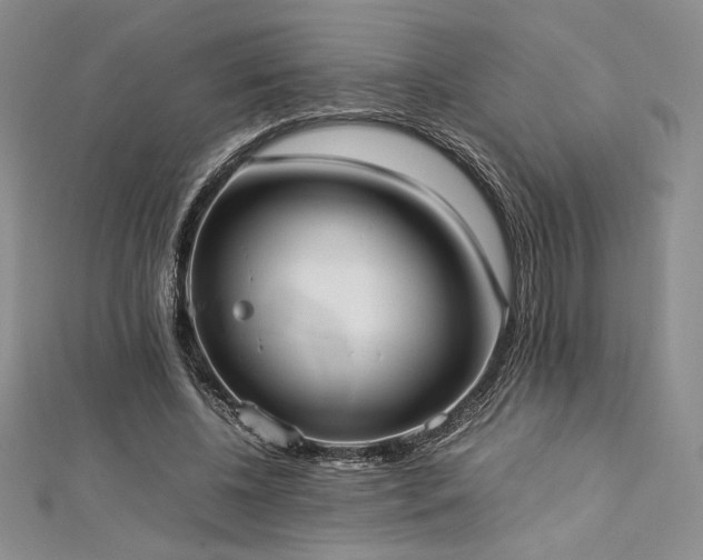 X0000113030540200908271457