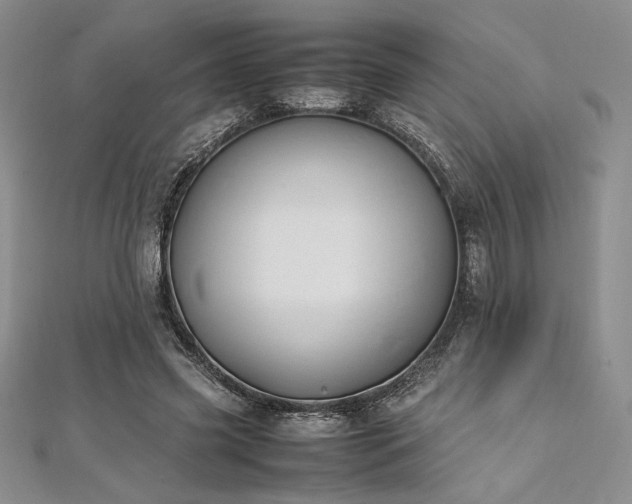 X0000113030541200908271457