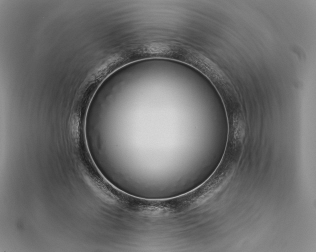 X0000113030542200908271457