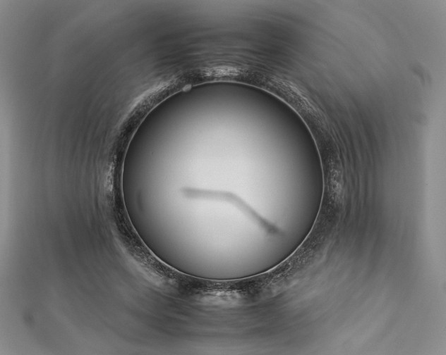 X0000113030543200908271457