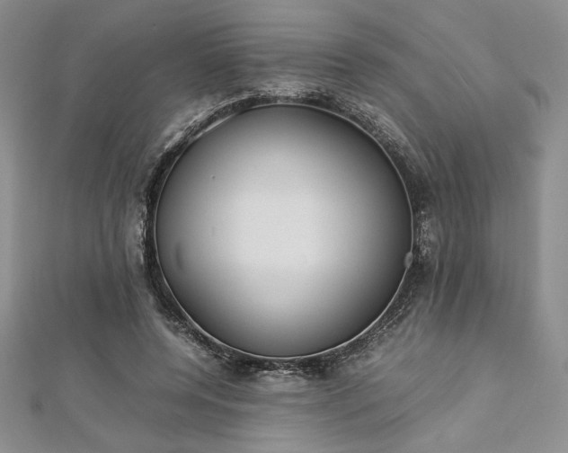 X0000113030544200908271457