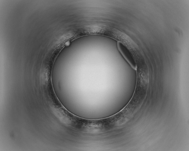 X0000113030546200908271457