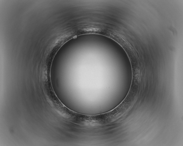 X0000113030547200908271457