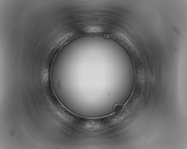 X0000113030549200908271457