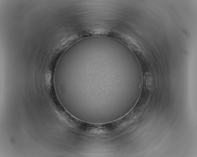 X0000113030550200908271457