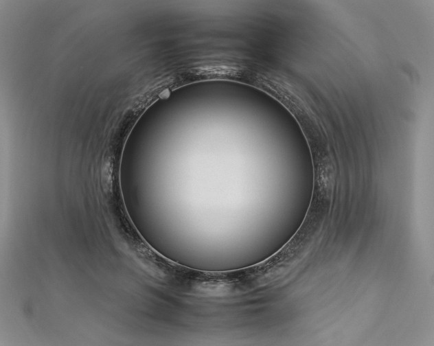 X0000113030551200908271457