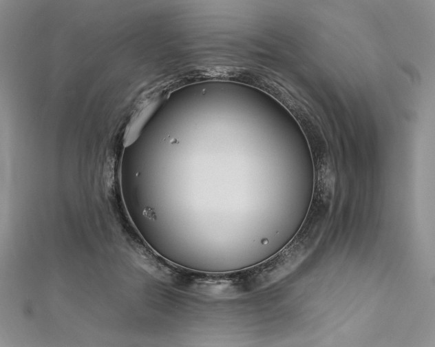 X0000113030554200908271457