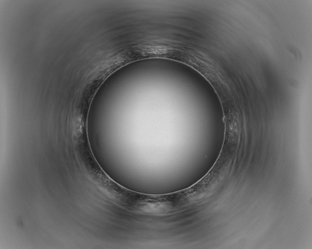 X0000113030555200908271457