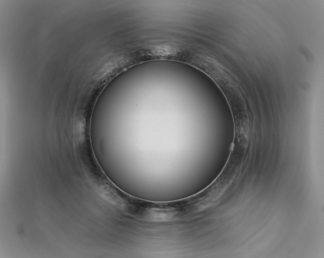 X0000113030556200908271457