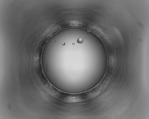 X0000113030557200908271457