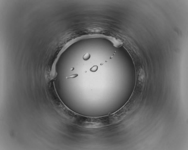 X0000113030559200908271457