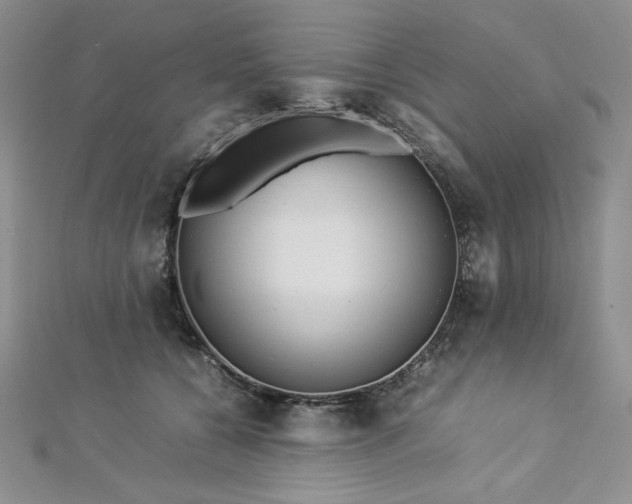 X0000113030560200908271457