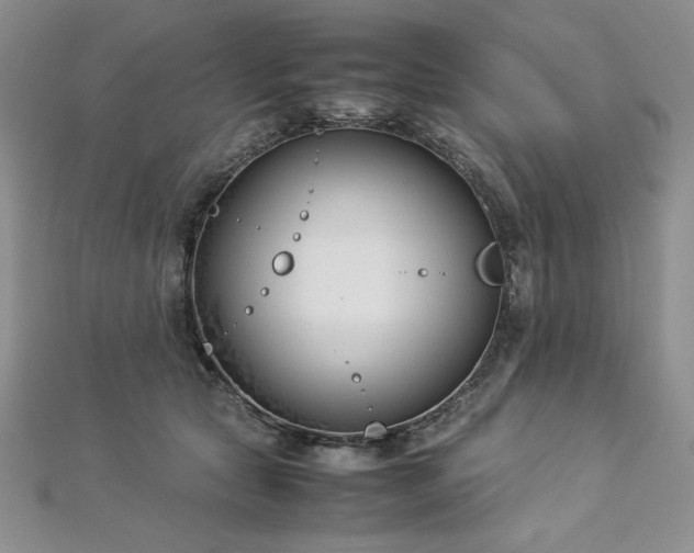 X0000113030561200908271457