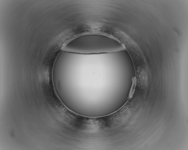 X0000113030562200908271457