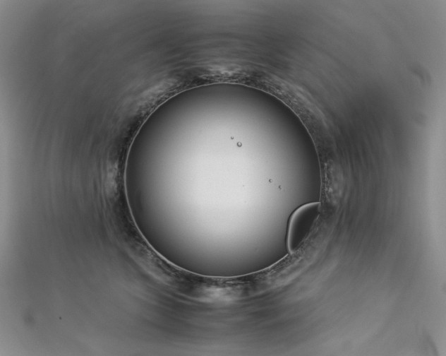 X0000113030563200908271457