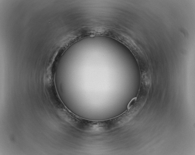 X0000113030564200908271457