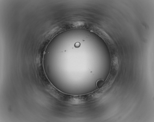 X0000113030565200908271457