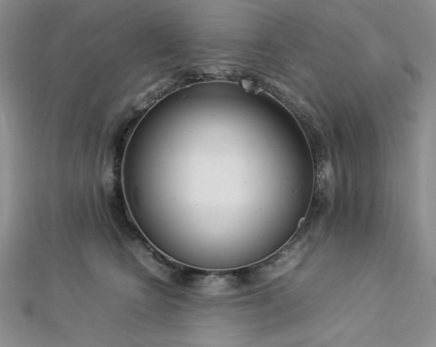 X0000113030566200908271457