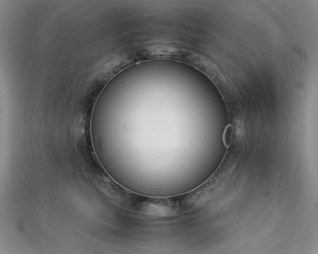 X0000113030567200908271457